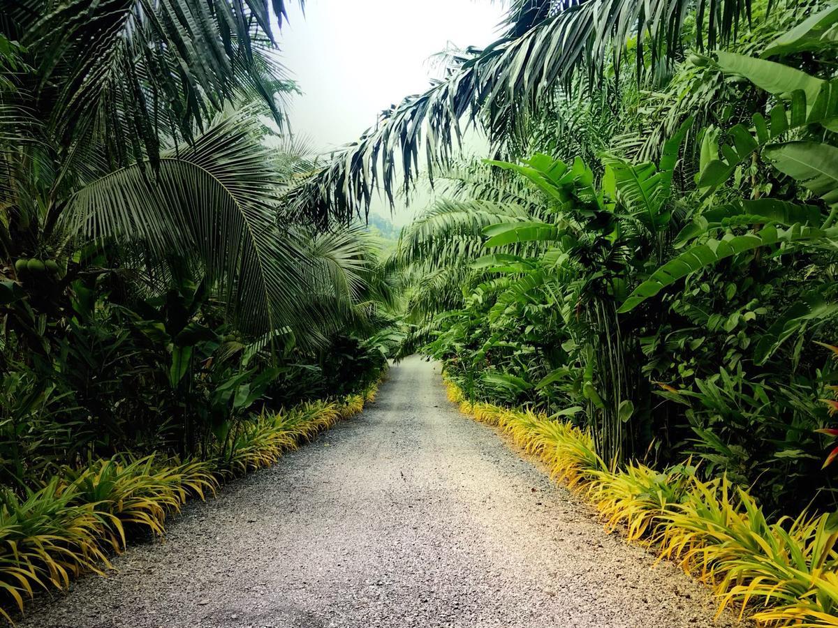 Baan Suan Farmstay Ko Lanta المظهر الخارجي الصورة